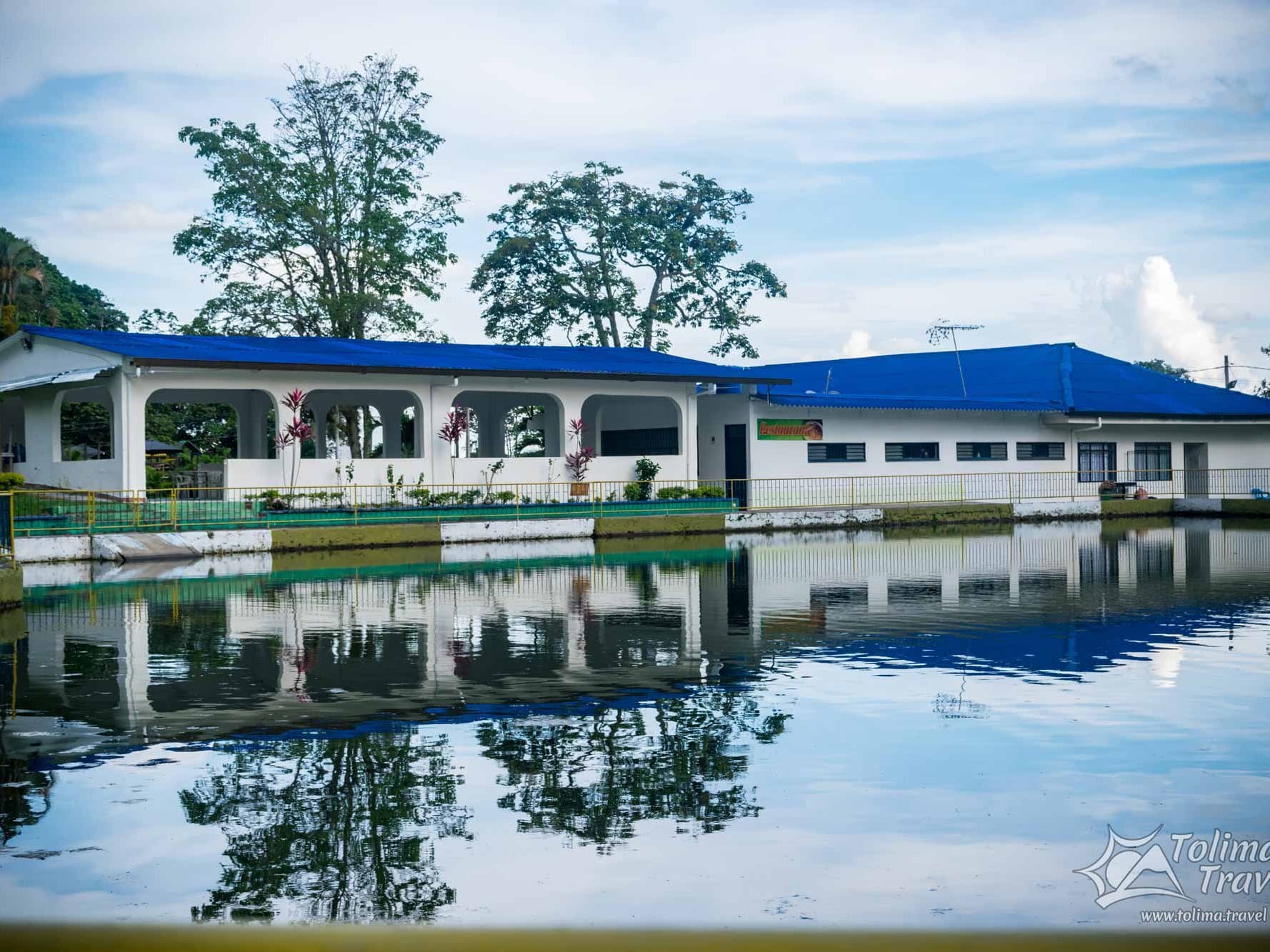 Club Deportivo Tolima Real - Coopemtol