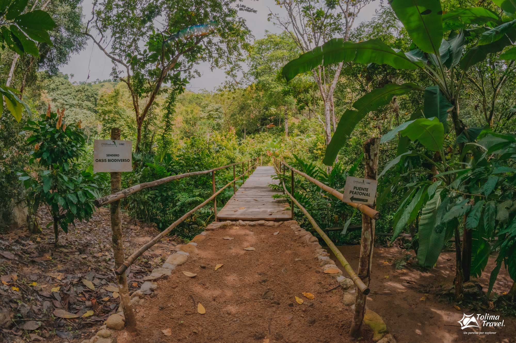 Oasis Santuario de Naturaleza
