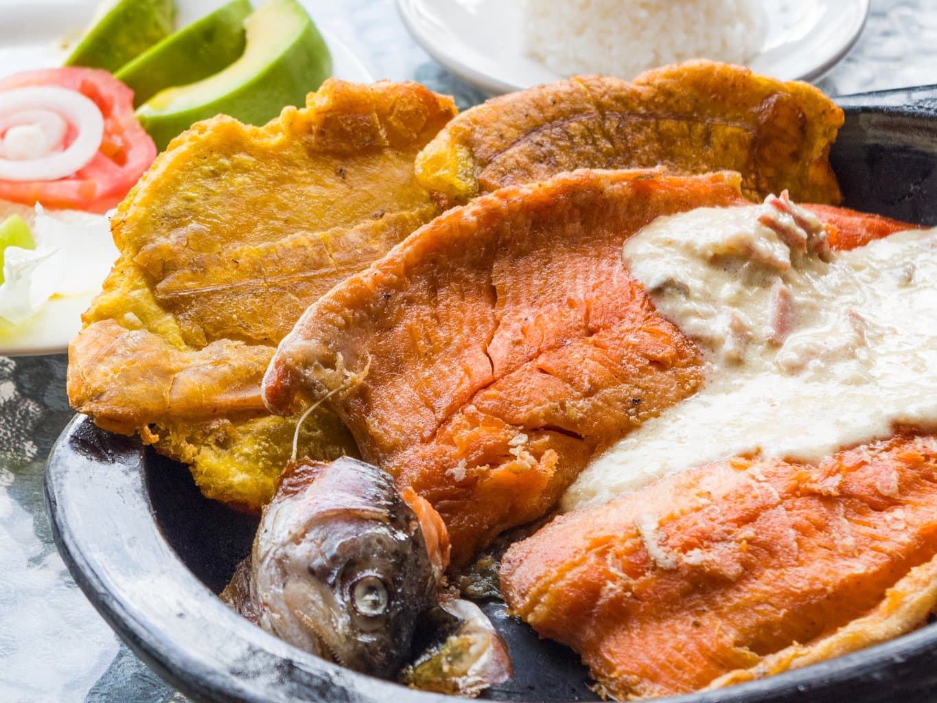 Parque Ecoturístico La Plata