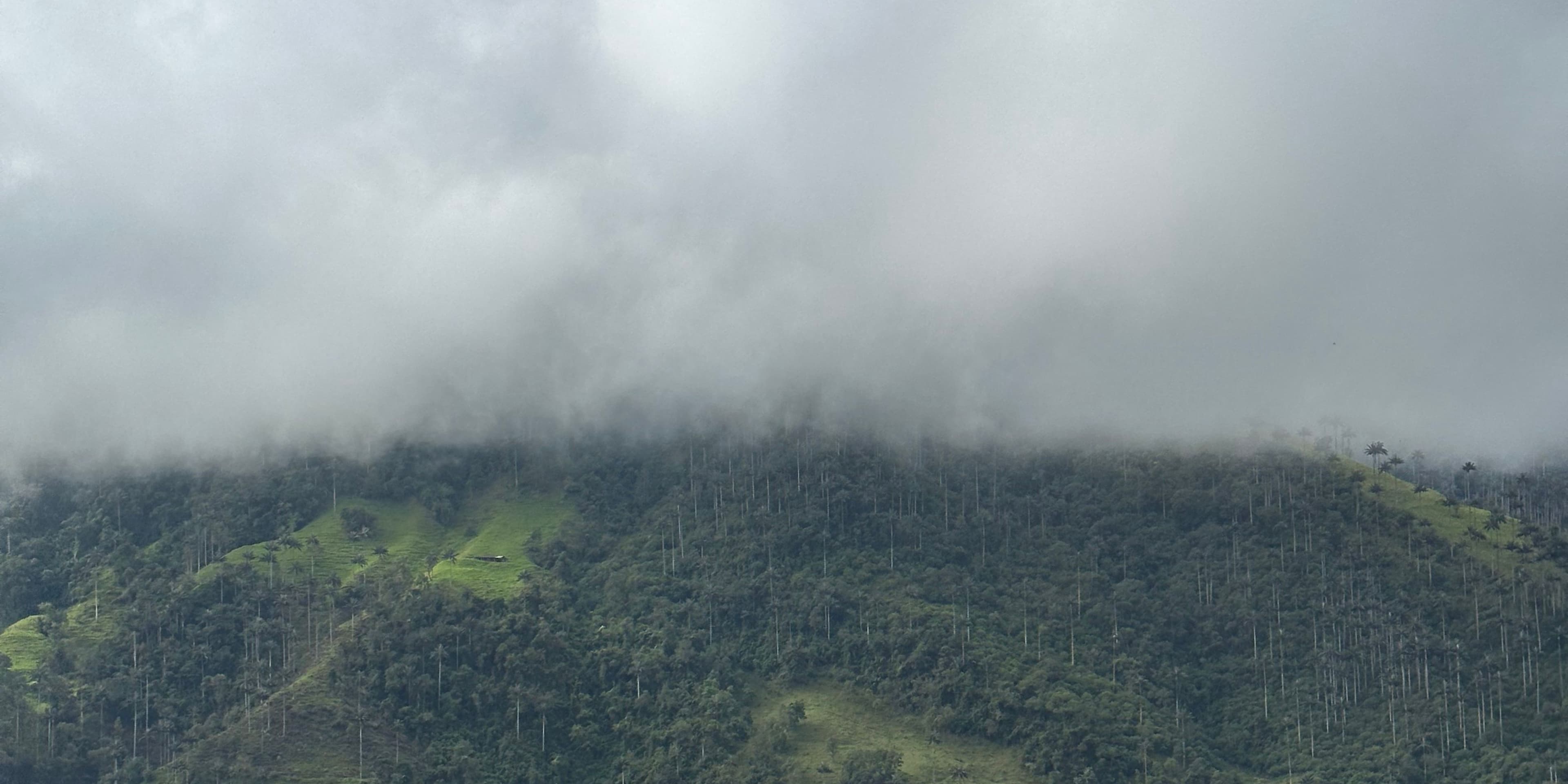 2 días en Toche y en los Gigantes de Colombia