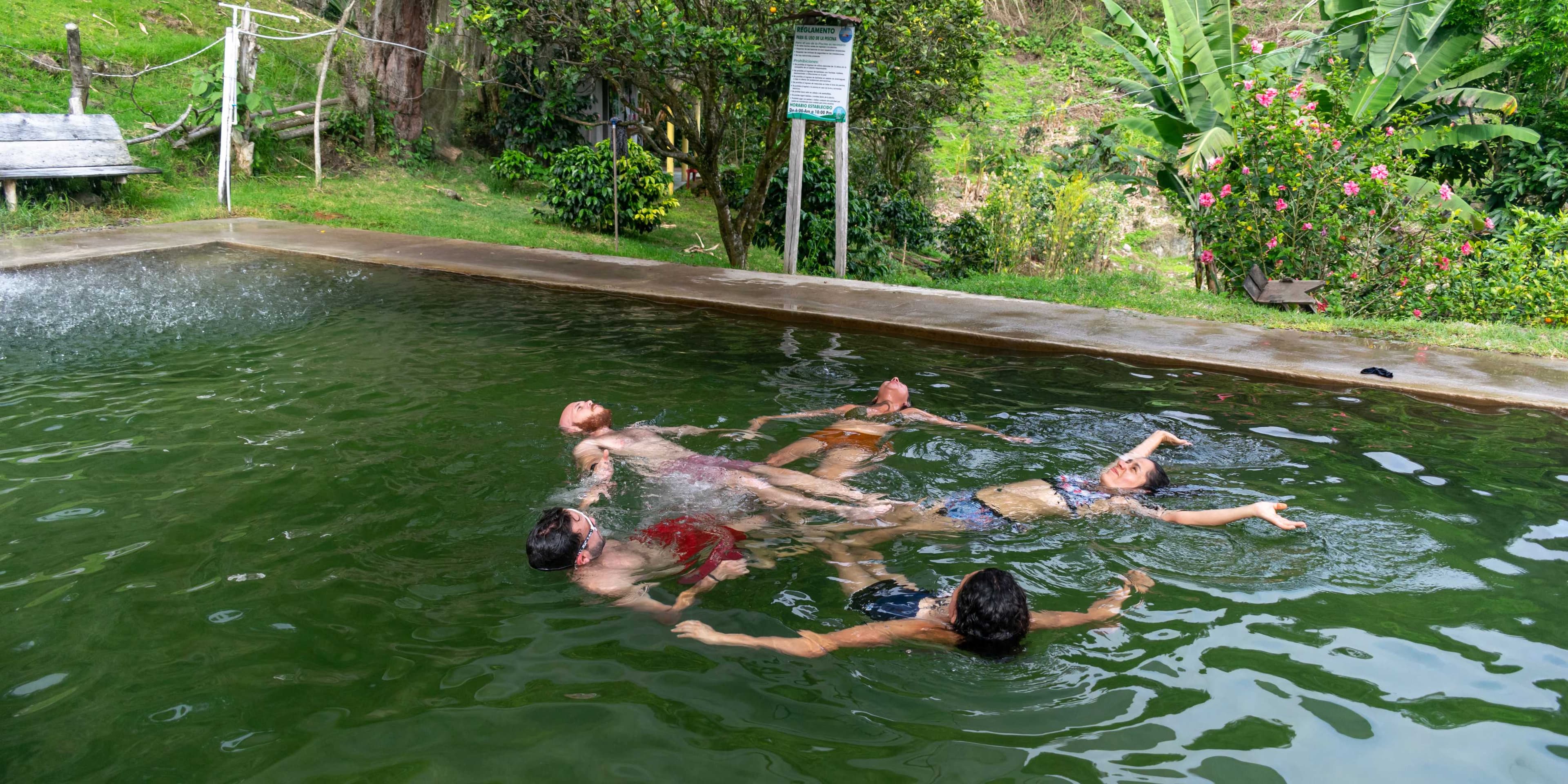 Bosque de Palma de Cera y Termales en Toche