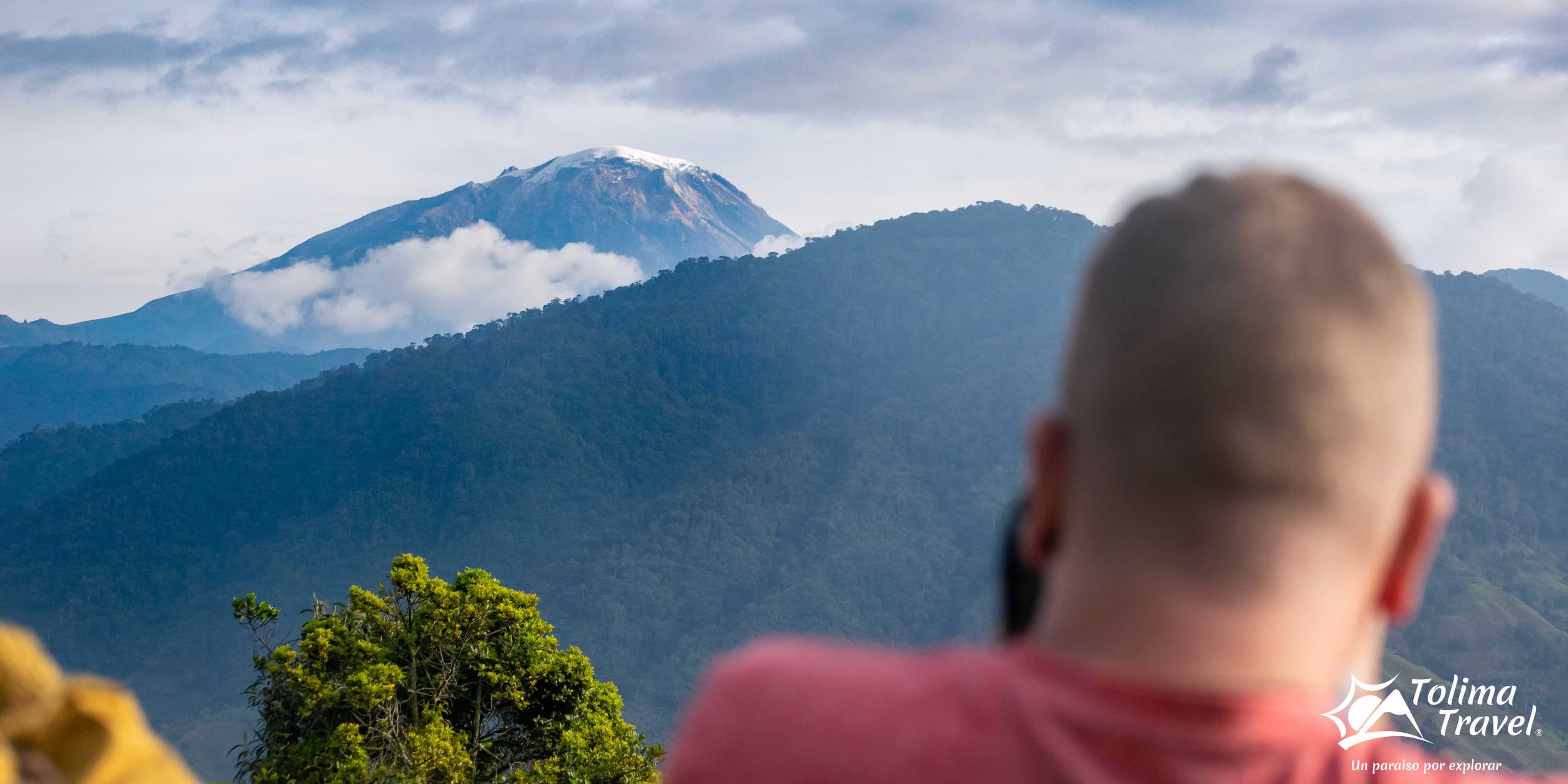 Bosque de Palma de Cera y Termales en Toche