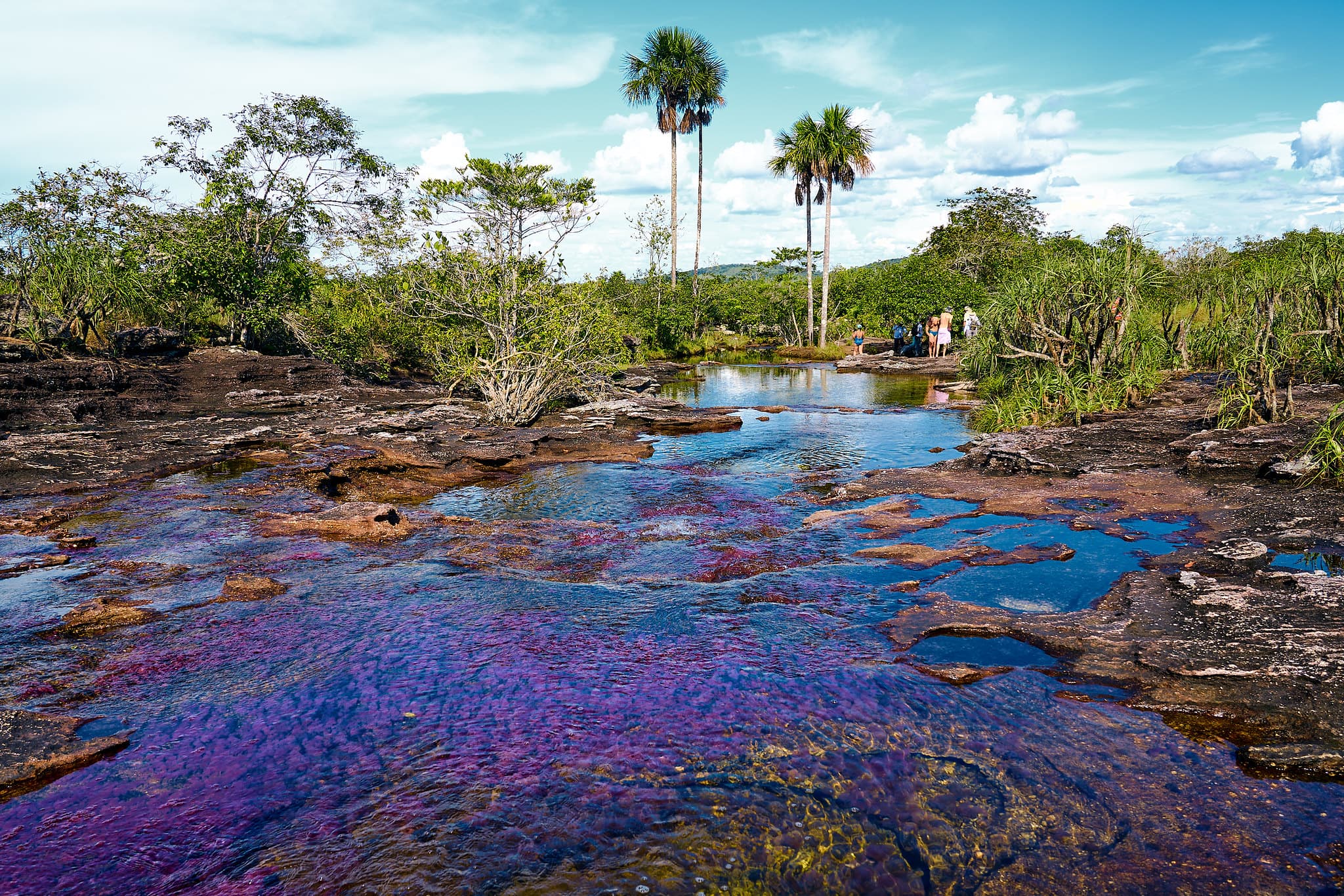 Caño Cristales