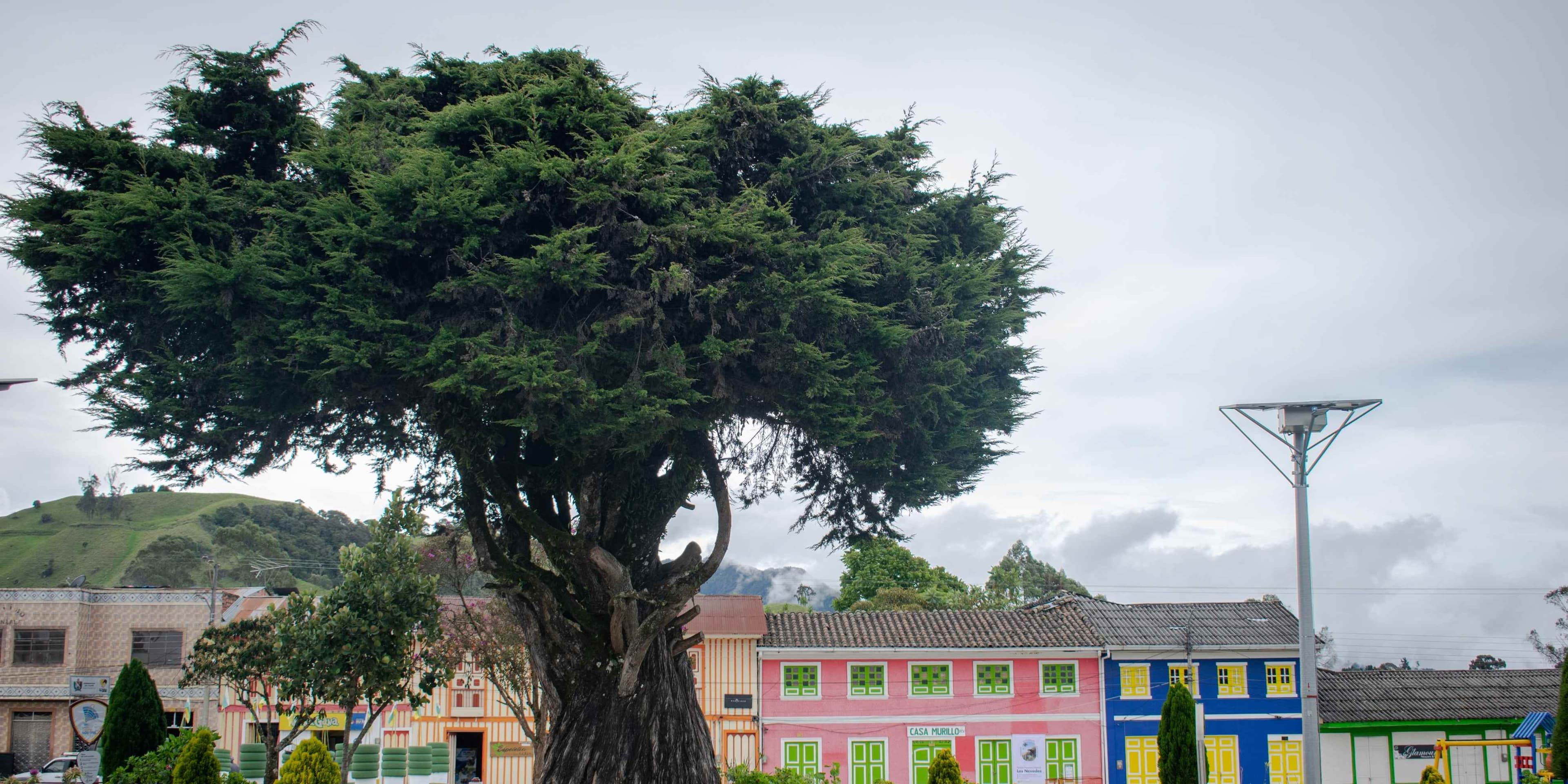 Murillo y Nevado del Ruiz
