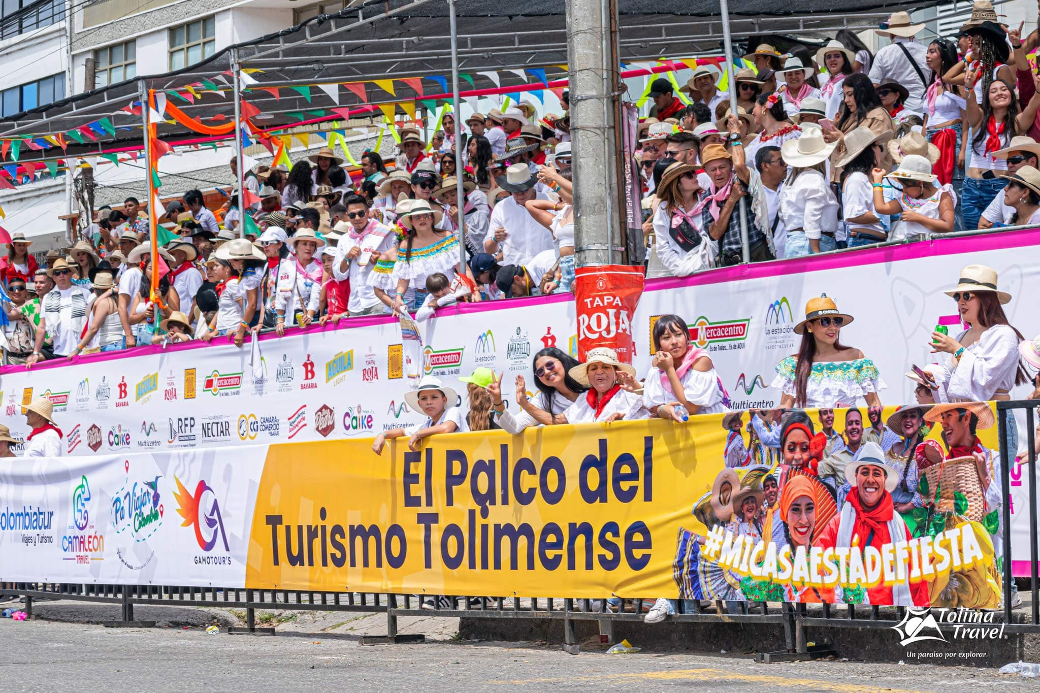Pasaporte desfile San Pedro en Ibagué