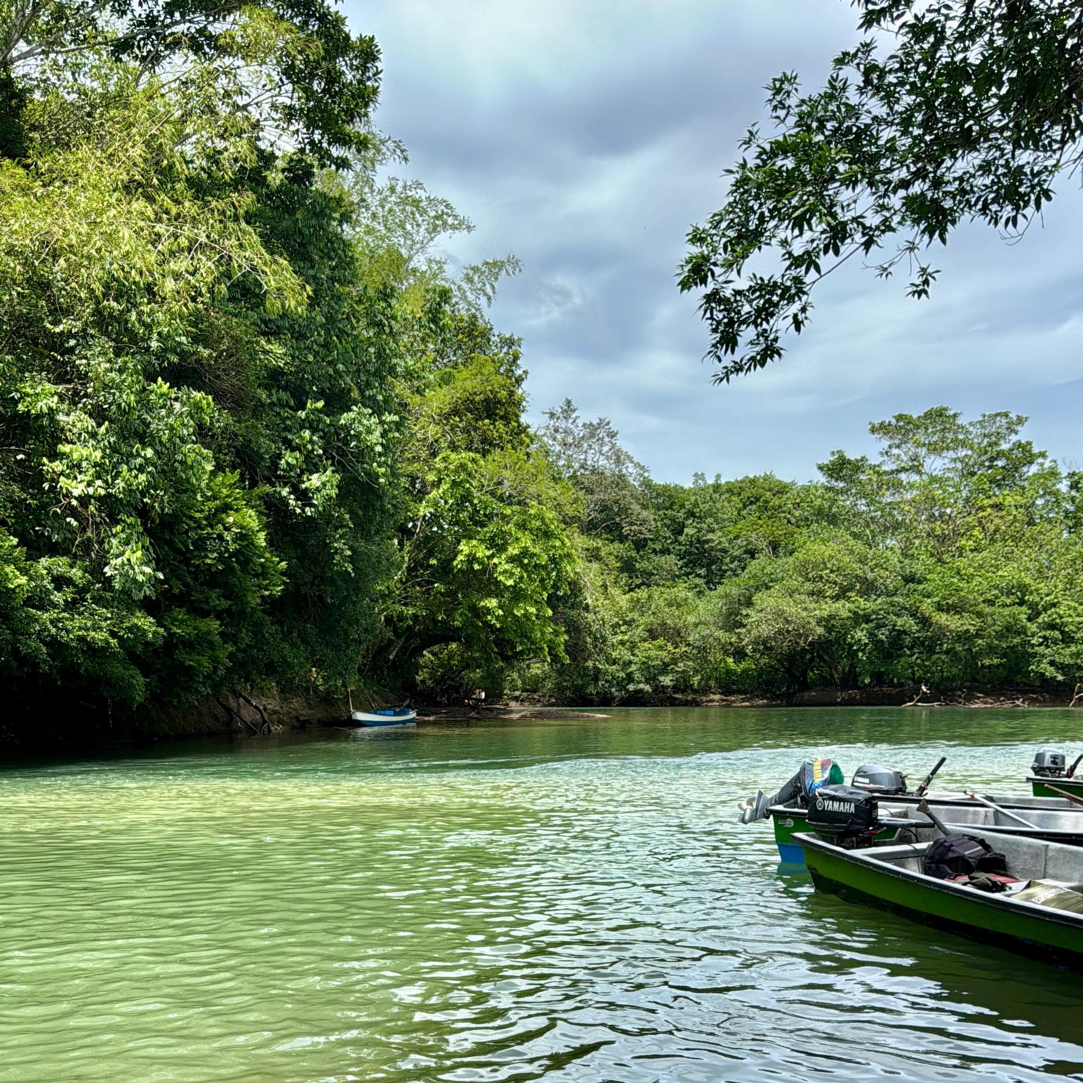 Norcasia y Río La Miel