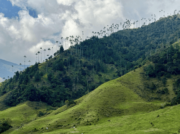 Travesía Andina